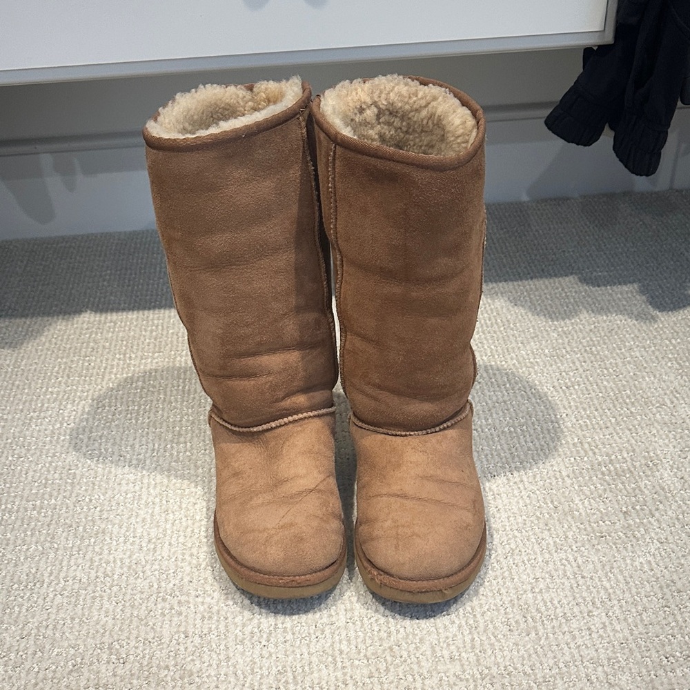 UGG Brown Winter Boots